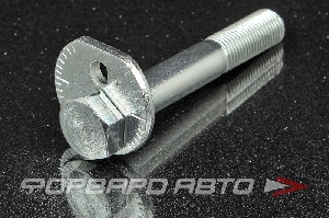 Болт с эксцентриком FEBEST 0129-002