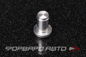 Купить Заглушка алюминиевая 10 мм AUTOBAHN88  Заглушка алюминиевая 10 мм AUTOBAHN88