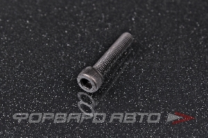 Винт цилиндр. с внутренним шестигранником М5*25 DIN912 высокопр. пр.12,9  