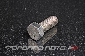 Болт М16*2*40 оцинк. <> 