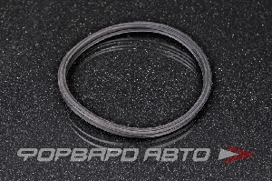 Прокладка термостата (73мм) TAKOMA 