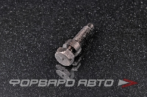 Болт М6*1,0 замка зажигания для автомобиля ВАЗ 2101-2110 <> 