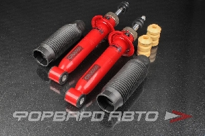 Амортизатор задний для автомобиля ВАЗ 2110, 1117-1119, 2170, 2190 (занижение -50мм) Racing Спорт SS20 SS20169