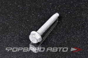 Болт М8*1,25*55 подрамника VAG N10 773 401