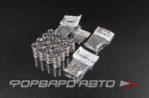 Пружины + Тарелки клапанов GM LS3 STD size .660" Lift Platinum Spring KIT BRAIN TOOLEY RACING 