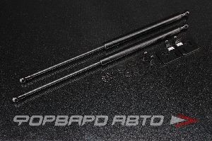 Амортизаторы капота HONDA Integra DC2 95-98 AUTOBAHN88 