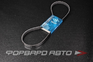 Ремень поликлиновой SUN 5PK1100