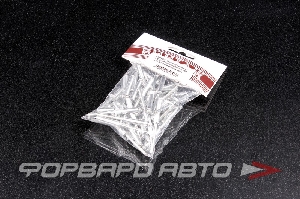 Заклепка вытяжная 4,8*21мм алюминий/сталь (50 шт.) фасовка Винтаж 