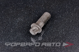 Купить Болт М12*1,25*30 крепления суппорта ВАЗ 2108, звездочка (класс прочности 10,9) БелЗАН 21080-3501030-018 Болт М12*1,25*30 крепления суппорта ВАЗ 2108, звездочка (класс прочности 10,9) БелЗАН 21080-3501030-018