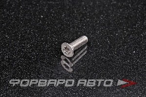 Винт потай  ТХ шлиц нерж. М6*1*20 DIN965 A2 ТХ30 <> 