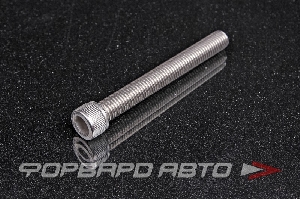 Винт цилиндр. с внутренним шестигранником нерж. М12*1,75*100 DIN912 A2  