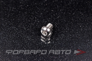 Винт M6*1*10 титановый полукруглая головка, внутренний шестигранник FORA TITANIUM ISO7380-6*10Ti