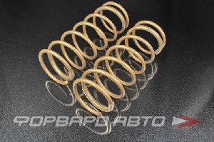 Пружины передние для автомобиля ВАЗ 2110-12 GOLD SS20 SS30114
