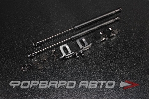 Амортизаторы капота MAZDA 3 5D / Axela BK3P 2006-2009 AUTOBAHN88 