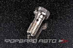 Болт BANJO М10*1,5*22 KINUGAWA 414-01101-016