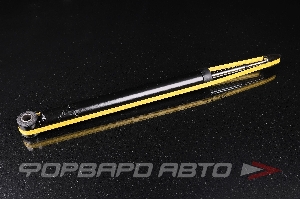 Амортизатор задний MILES DG02137