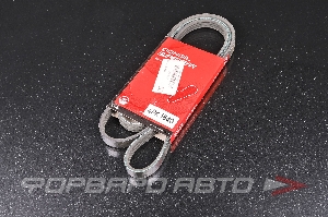 Ремень поликлиновой DONGIL 4PK1640