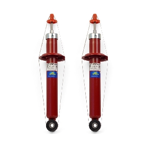 Стойки задние ВАЗ 2190 Премиум (газ) 2шт. DEMFI 2190-2915004-12