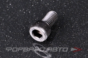 Винт цилиндр. с внутренним шестигранником М6*12 DIN912 высокопр. пр.12,9  