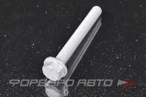 Болт М8*1,25*70 ролика ГРМ VAG N10 690 201