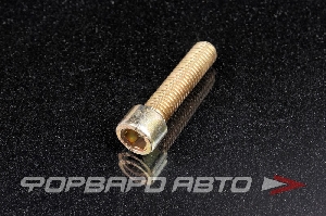 Винт  М12*1,75*50 (12,9) внутренний шестигранник HGK 