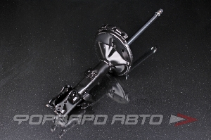 Амортизатор передний, правый MILES DG21044