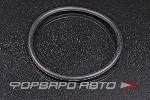 Кольцо уплотнительное маслостойкое 100*6 NOK OR-06.00_100.00