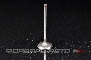 Клапан впускной N-ROCKY TA-123-0