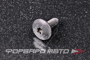 Болт М6*1,0*20  TORX RENAULT 77 03 008 162