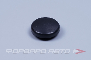 Купить Заглушка гайки дворника ВАЗ 2190 колпак ПЛАСТИК 2190-5205176 Заглушка гайки дворника ВАЗ 2190 колпак ПЛАСТИК 2190-5205176