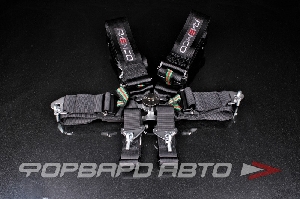 Ремни 6-ти точечные, 3" FIA 8853-2016 (до 2030 года) черный RAEMCO C-06BK-AL