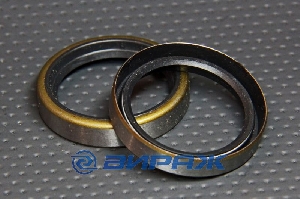 Сальник 36*46*9 (б/н) рез TTO D673