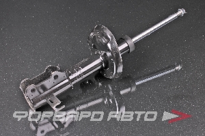 Амортизатор передний, правый MILES DG21609-01