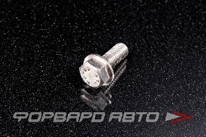 Болт М8*1,25*20 ДИН 6921 А2 нерж. шестигр. гол. с фланцем <> 