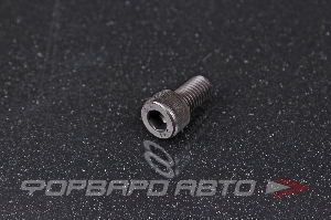 Винт цилиндр. с внутренним шестигранником М8*1,25*16 DIN912 высокопр. пр.12,9  