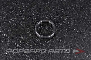 Кольцо уплотнительное MAZDA B25F-61-J17