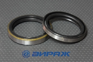 Сальник 48*60*9 (RH) мет. PAYEN NJ772