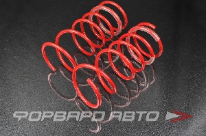 Пружины передние для автомобиля ВАЗ 2108-2110-2112 (занижение -70мм) Racing SS20 SS30135