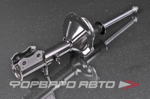 Амортизатор задний, правый MILES DG21017