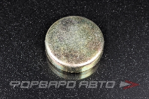 Купить Заглушка блока двигателя WPM-41мм   Заглушка блока двигателя WPM-41мм