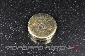 Заглушка блока двигателя WPB-40мм  