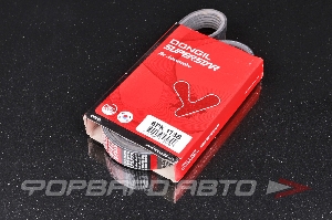 Ремень поликлиновой DONGIL 6PK1138