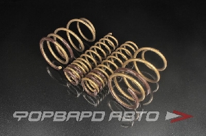 Пружины SKE18-G1B00 MMC Lancer EVO X CZ4A, High Tech TEIN 