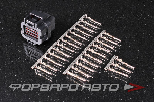 Разъем 26 way 18-16 AWG (SS10-SKT2) Superseal 1.0 Series PDM15/PDM30/M150 (Keying 1) TE CONNECTIVITY TF26AS