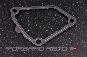 Прокладка термостата TAMA P211