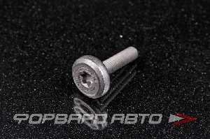 Болт М6*1,0*28 Torx JAGUAR C2C6 7260 10