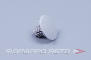 Купить Заглушка потолка ВАЗ 2110,2190,2123 (клипса) серая ПЛАСТИК 21125702154 Заглушка потолка ВАЗ 2110,2190,2123 (клипса) серая ПЛАСТИК 21125702154