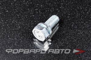 Болт М8*1,25*20 крепления корзины сцепления для автомобиля ВАЗ 2101 с гровером (класс прочности 8,8) БелЗАН 00001-0038258-218
