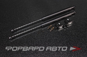 Амортизаторы капота INFINITI G37 2007+ AUTOBAHN88 