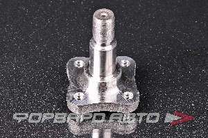 Цапфа задняя ASAM 30247